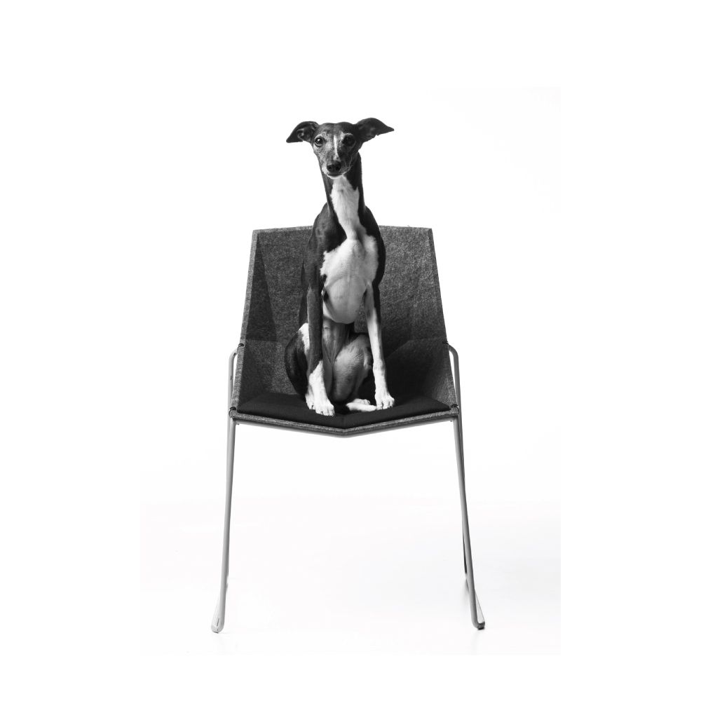 Office seating - NicoLess - DONAR
