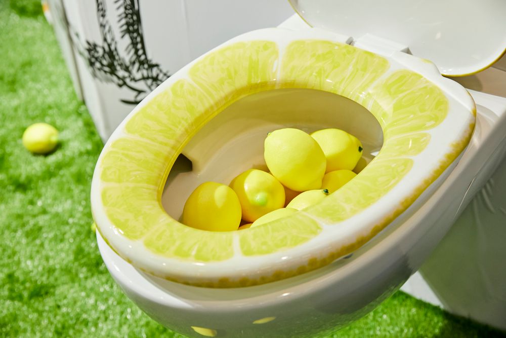 Toilets - Lemon toilet cover - TAIKOU JUKEN
