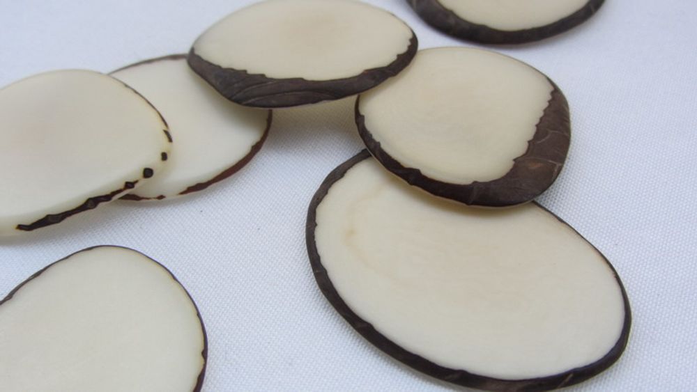 Quincaillerie d'art - Chips de Tagua - TIERRATAGUA & CREATIERRA