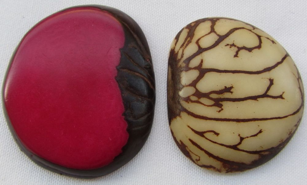 Quincaillerie d'art - Tranches de Tagua. - TIERRATAGUA & CREATIERRA