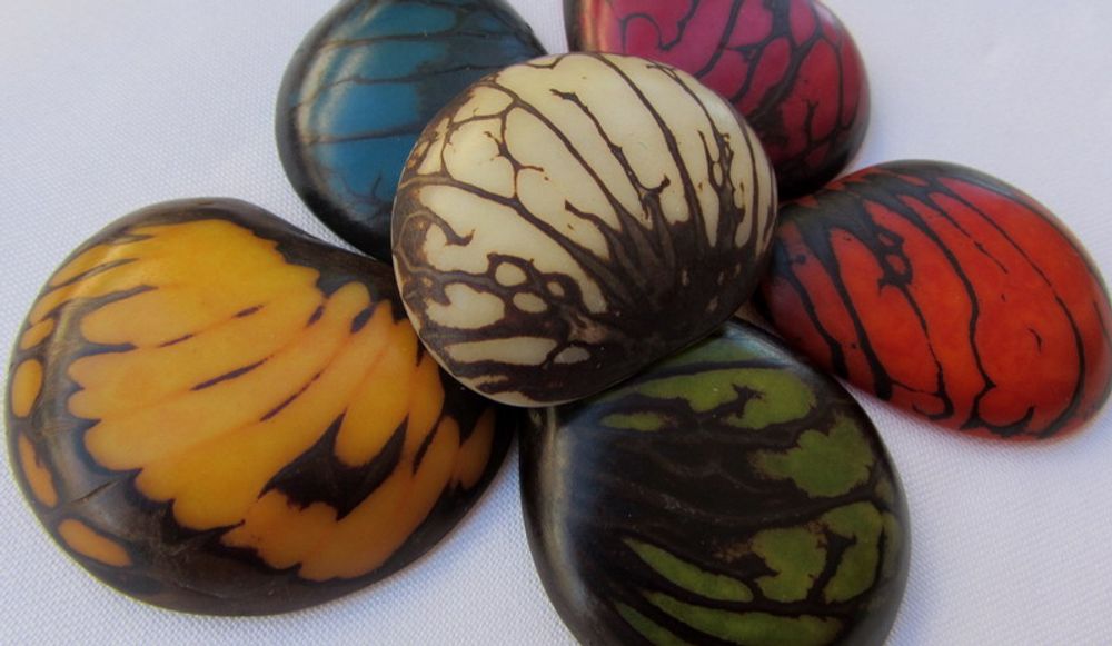 Quincaillerie d'art - Tranches de Tagua. - TIERRATAGUA & CREATIERRA