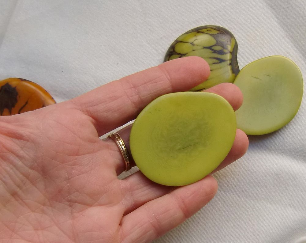 Quincaillerie d'art - Tranches de Tagua. - TIERRATAGUA & CREATIERRA