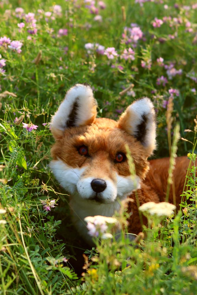 Sculptures, statuettes and miniatures - Realistic toy fox. Faux taxidermy. Window display - KATERINA MAKOGON