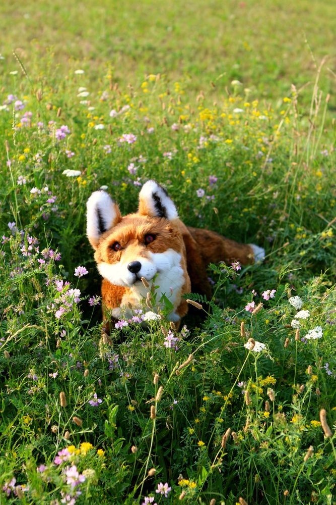 Sculptures, statuettes and miniatures - Realistic toy fox. Faux taxidermy. Window display - KATERINA MAKOGON