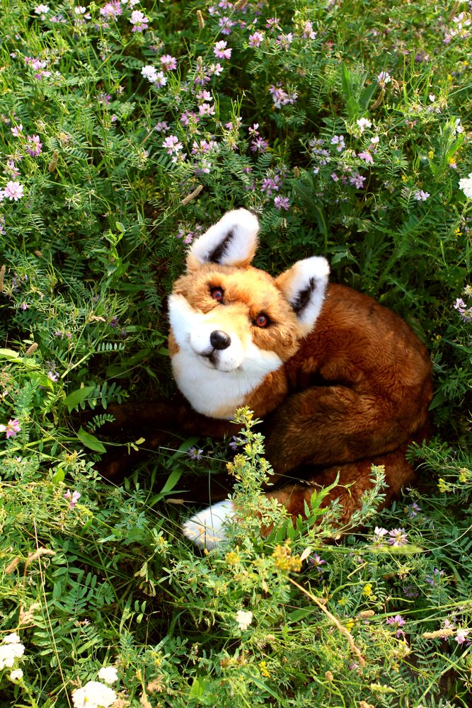Sculptures, statuettes and miniatures - Realistic toy fox. Faux taxidermy. Window display - KATERINA MAKOGON