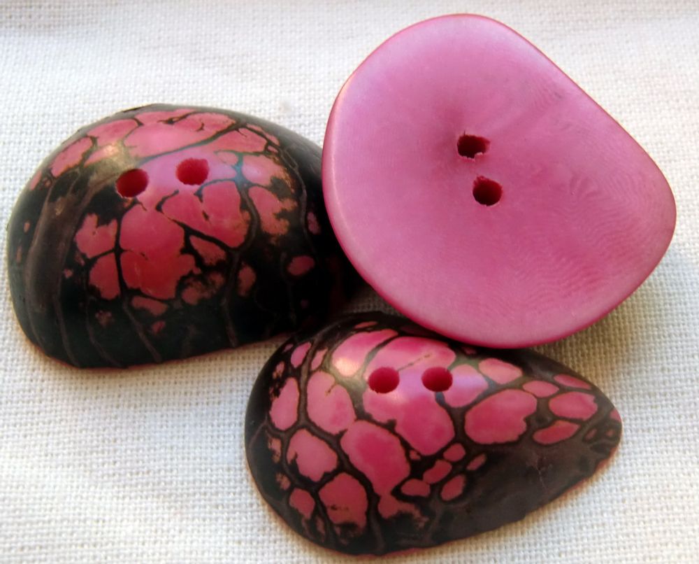 Quincaillerie d'art - Boutons zébrés en ivoire végétal-Tagua - TIERRATAGUA & CREATIERRA