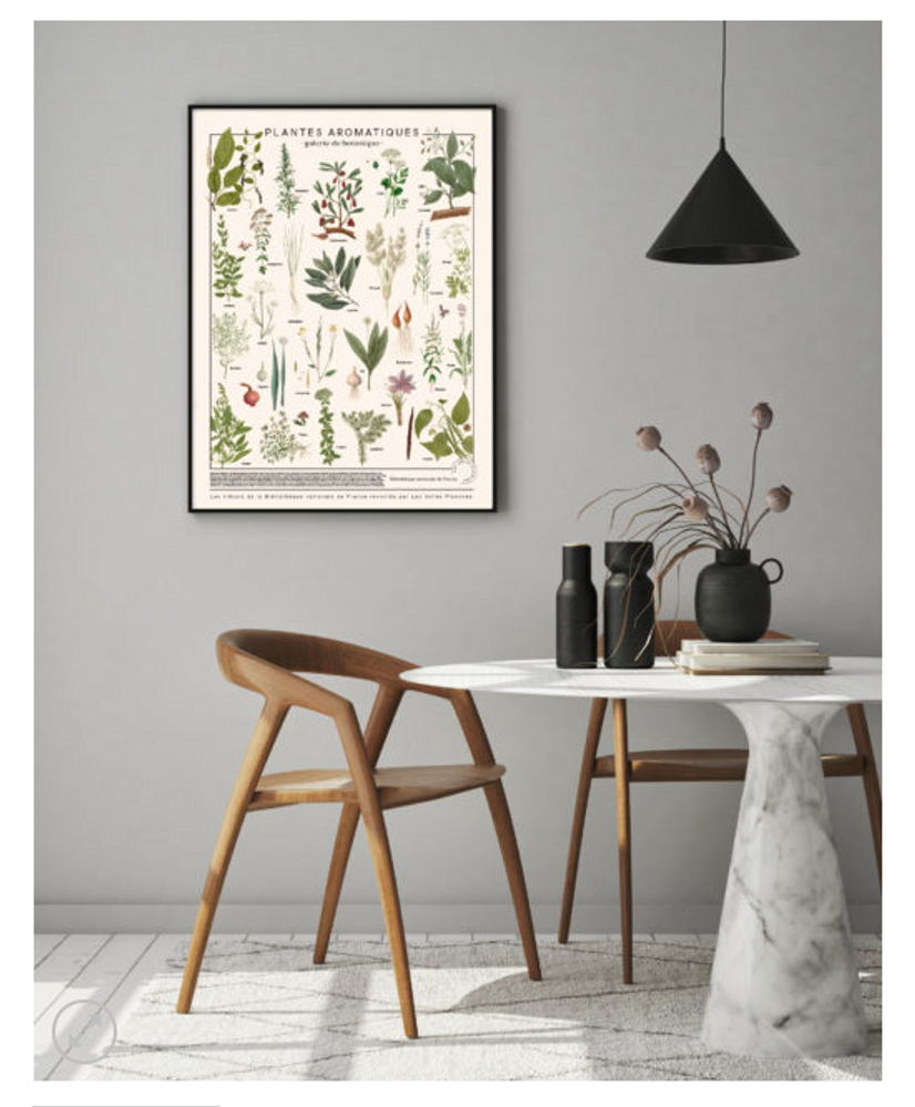 Poster - POSTER I AROMATIC PLANTS - LES JOLIES PLANCHES