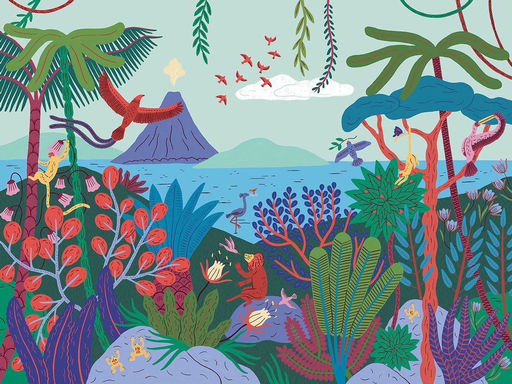 Objets déco enfant - MARAVILHAS - Papier peint panoramique couleur - MAISON BONAMI