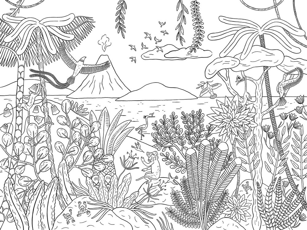 Objets déco enfant - MARAVILHAS - Papier peint panoramique  noir & blanc - MAISON BONAMI