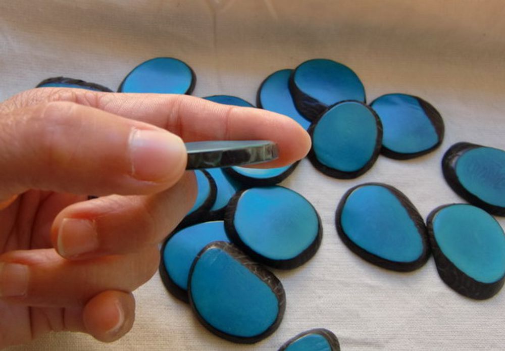 Quincaillerie d'art - Tranches de Tagua. - TIERRATAGUA & CREATIERRA