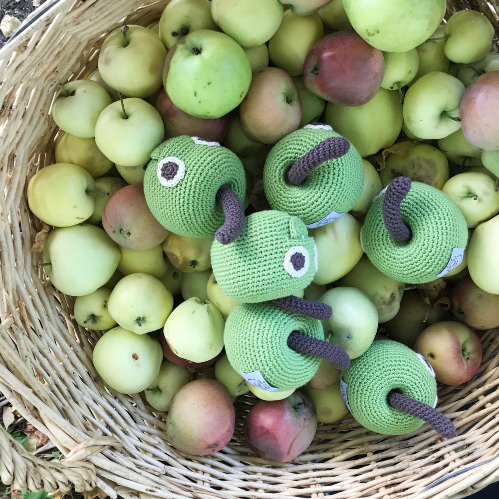 Gifts - NEWTON APPLE - BABY RATTLE 100% ORGANIC COTON - MYUM - THE VEGGY TOYS