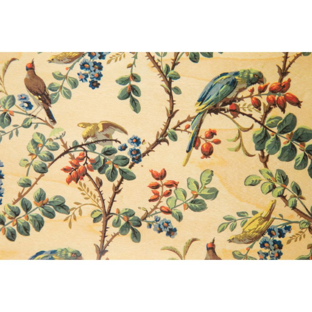 Card shop - Wood postcard "Perroquet" - WOODHI
