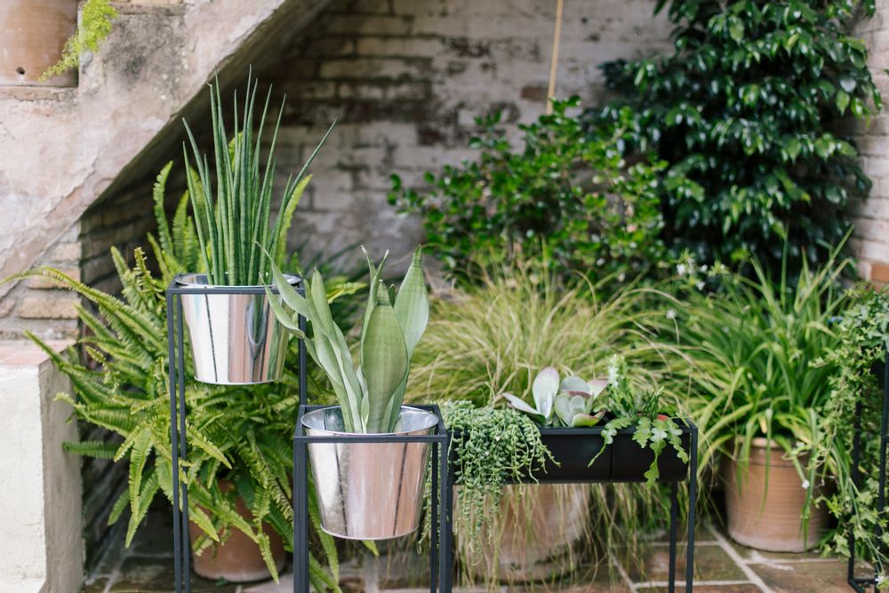 Flower pots - Black Metal Pot AX70036 - ANDREA HOUSE