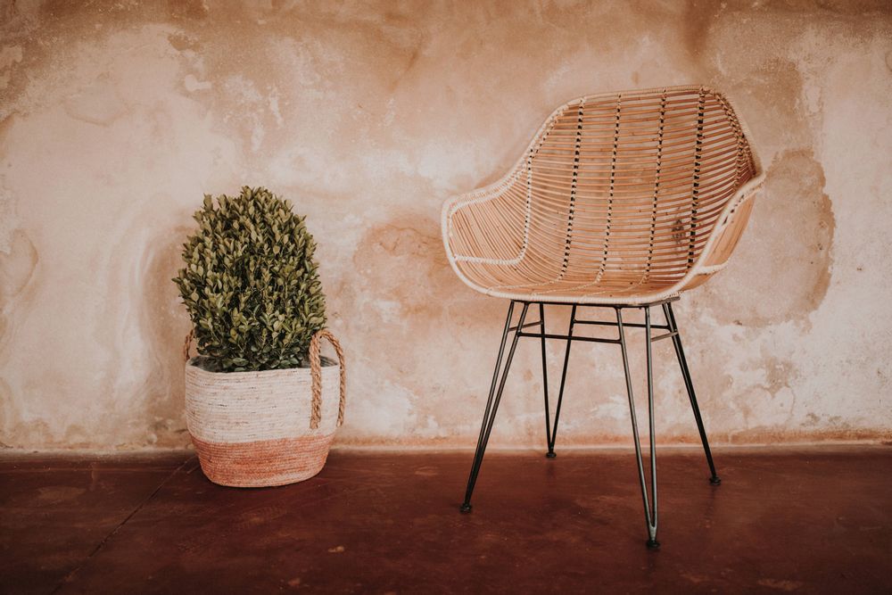 Chaises - Silla B. - MISTER WILS