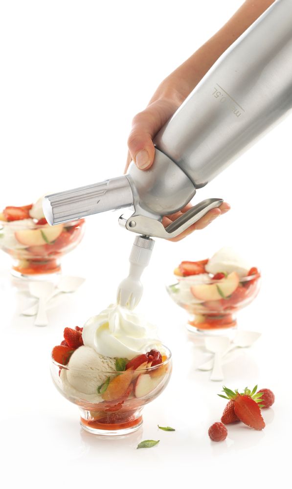 Kitchen utensils - Hot & cold mousses whipper - 0,5L aluminium - M&CO