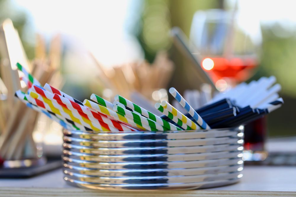 Kids accessories - Straws ECO RANGE RESPONSIBLE - LEBRUN COUVERTS