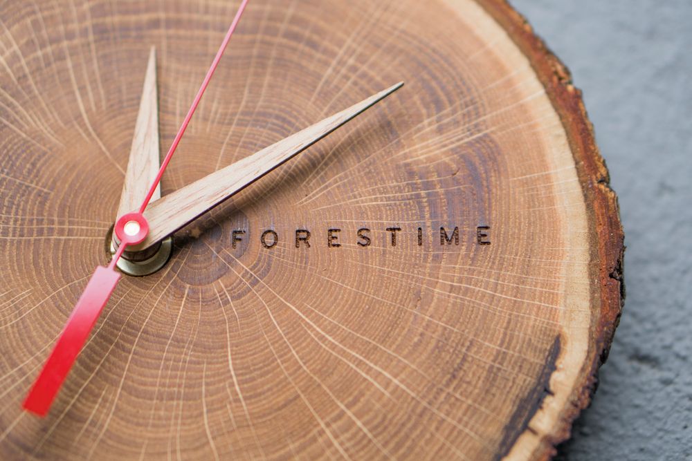 Clocks - Forestime wall clock - RIO LINDO - THINGS THAT INSPIRE