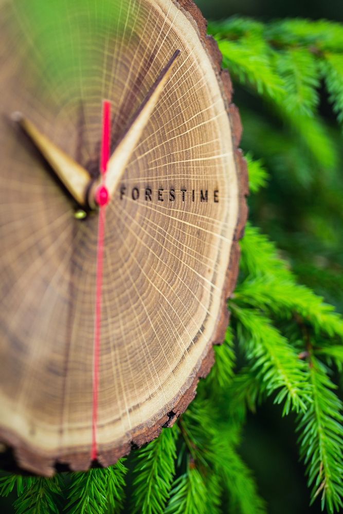 Clocks - Forestime wall clock - RIO LINDO - THINGS THAT INSPIRE