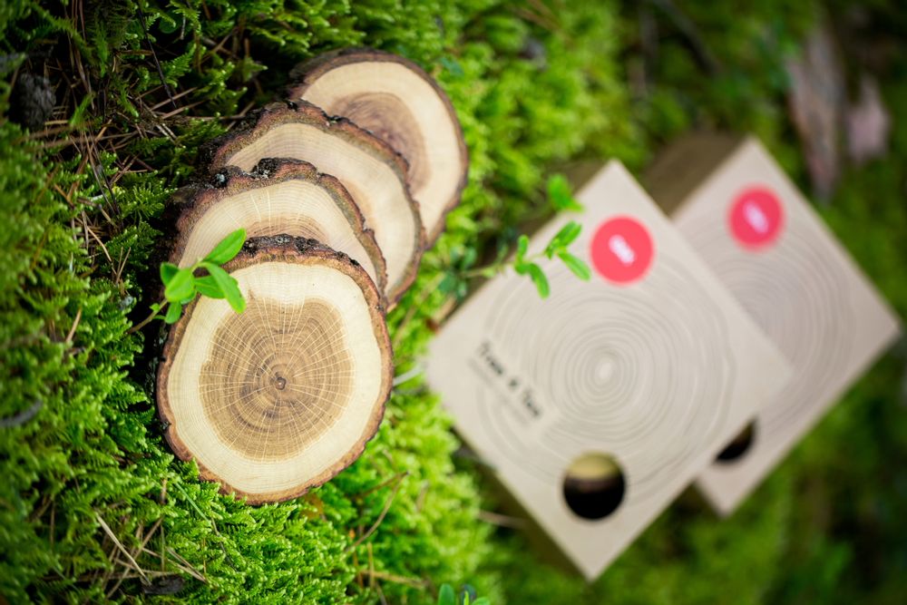 Objets de décoration - Dessous de verre en bois Tree4Tea - RIO LINDO - THINGS THAT INSPIRE