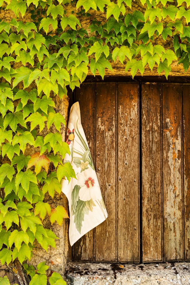 Dish towels - Garden Eden Linen Torchon - NAPKING  BY BELLAVIA