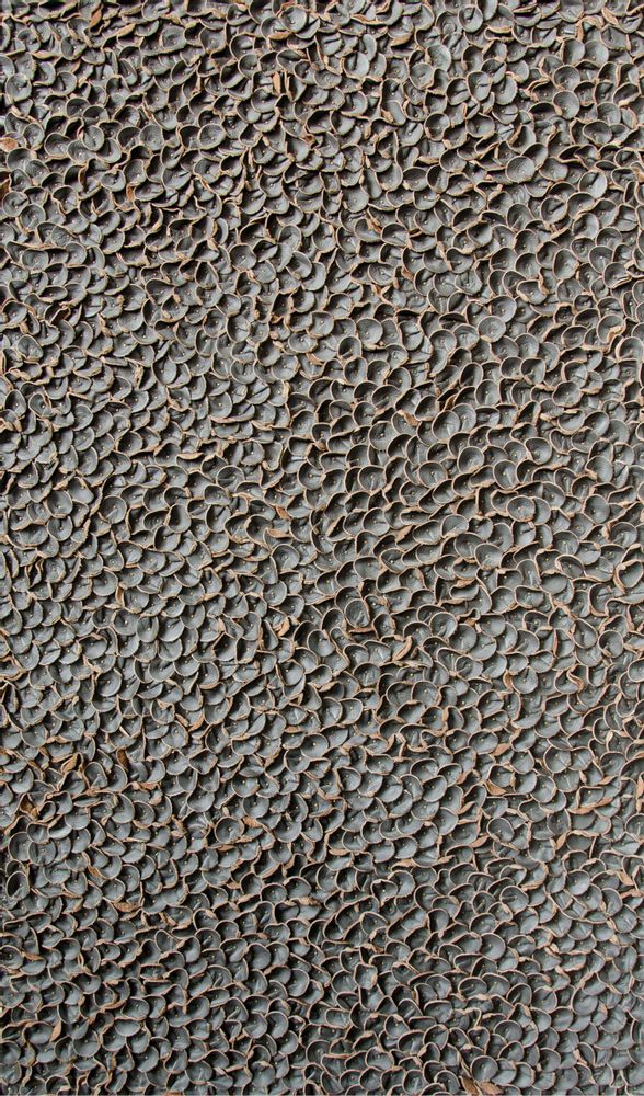 Revêtements muraux - Surface du feuillage - PINTARK
