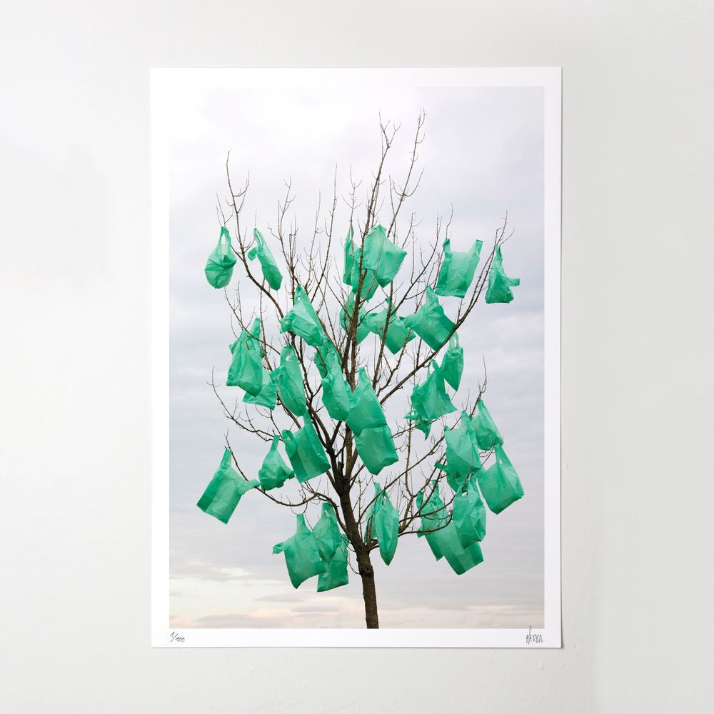 Poster - ART PRINTS - OCTAGON DESIGN