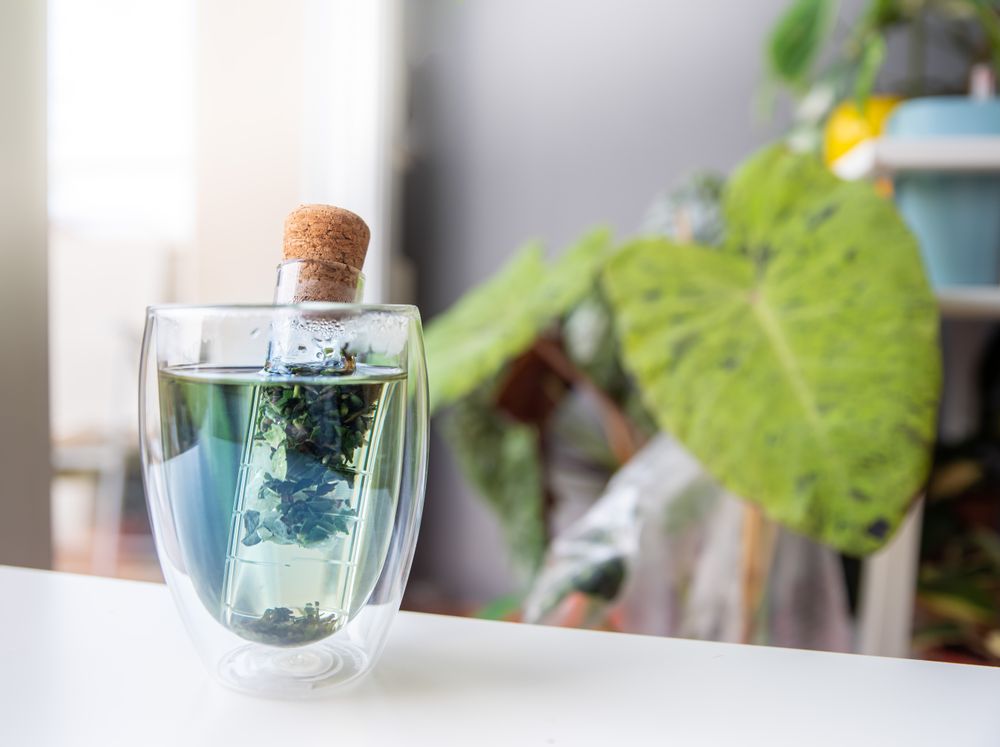 Mugs - GLASS INFUSER - GREENMA