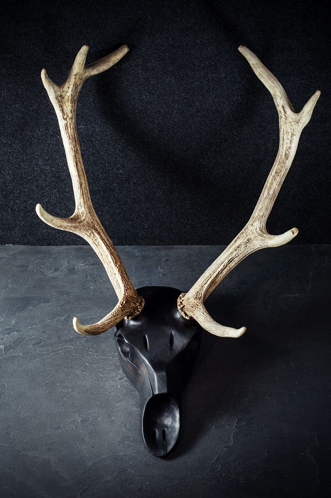 Pièces uniques - Sculptures de crâne d'animaux en bois. - ATELIER PEV / PATRICK EVESQUE