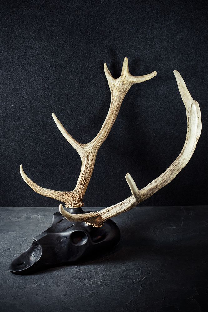 Pièces uniques - Sculptures de crâne d'animaux en bois. - ATELIER PEV / PATRICK EVESQUE