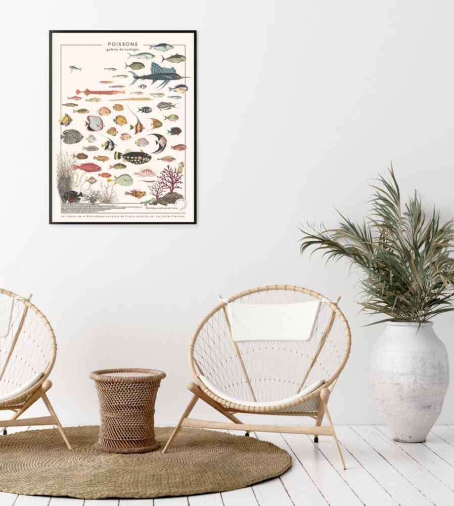 Poster - POSTER I EXOTIC FISH - LES JOLIES PLANCHES