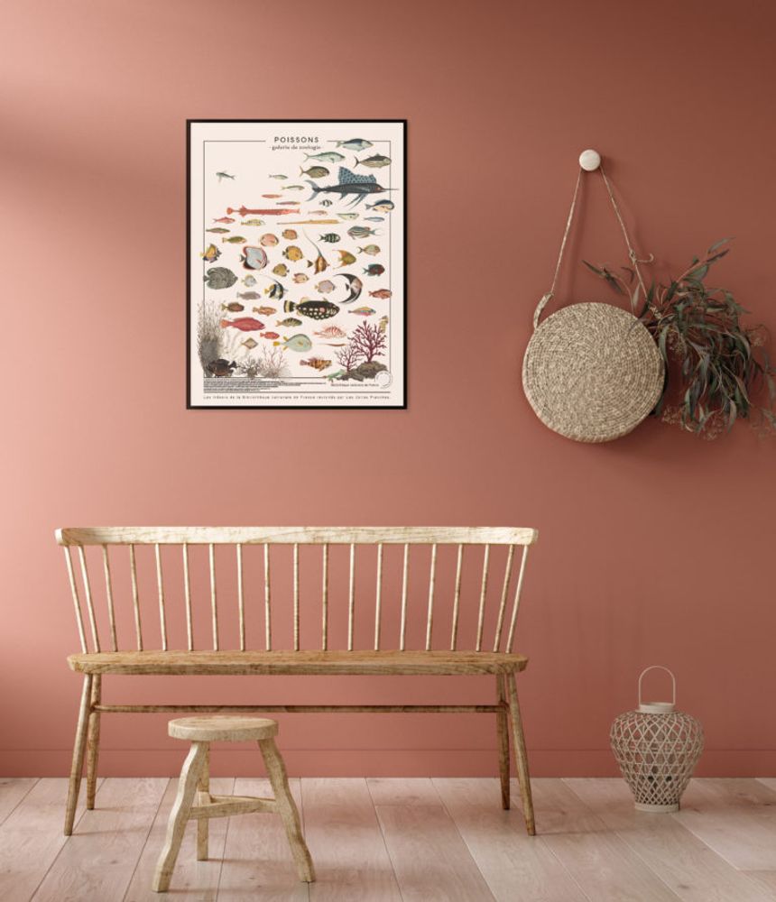 Poster - POSTER I EXOTIC FISH - LES JOLIES PLANCHES