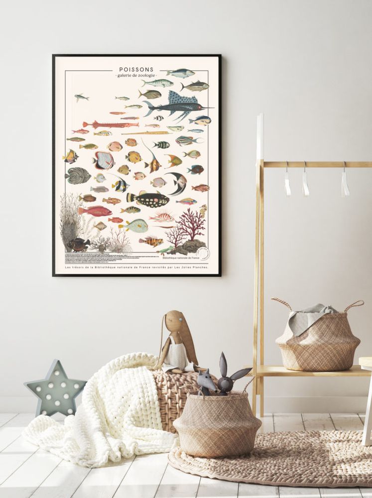 Poster - POSTER I EXOTIC FISH - LES JOLIES PLANCHES