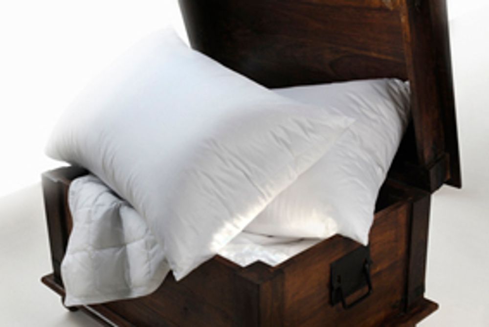 Comforters and pillows - Pillows Collection Cinelli - CINELLI PIUME E PIUMINI SRL