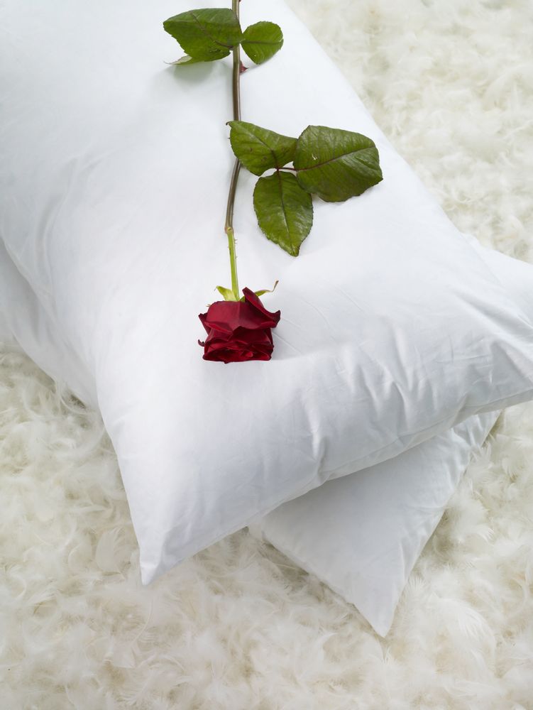 Comforters and pillows - Pillows Collection Cinelli - CINELLI PIUME E PIUMINI SRL