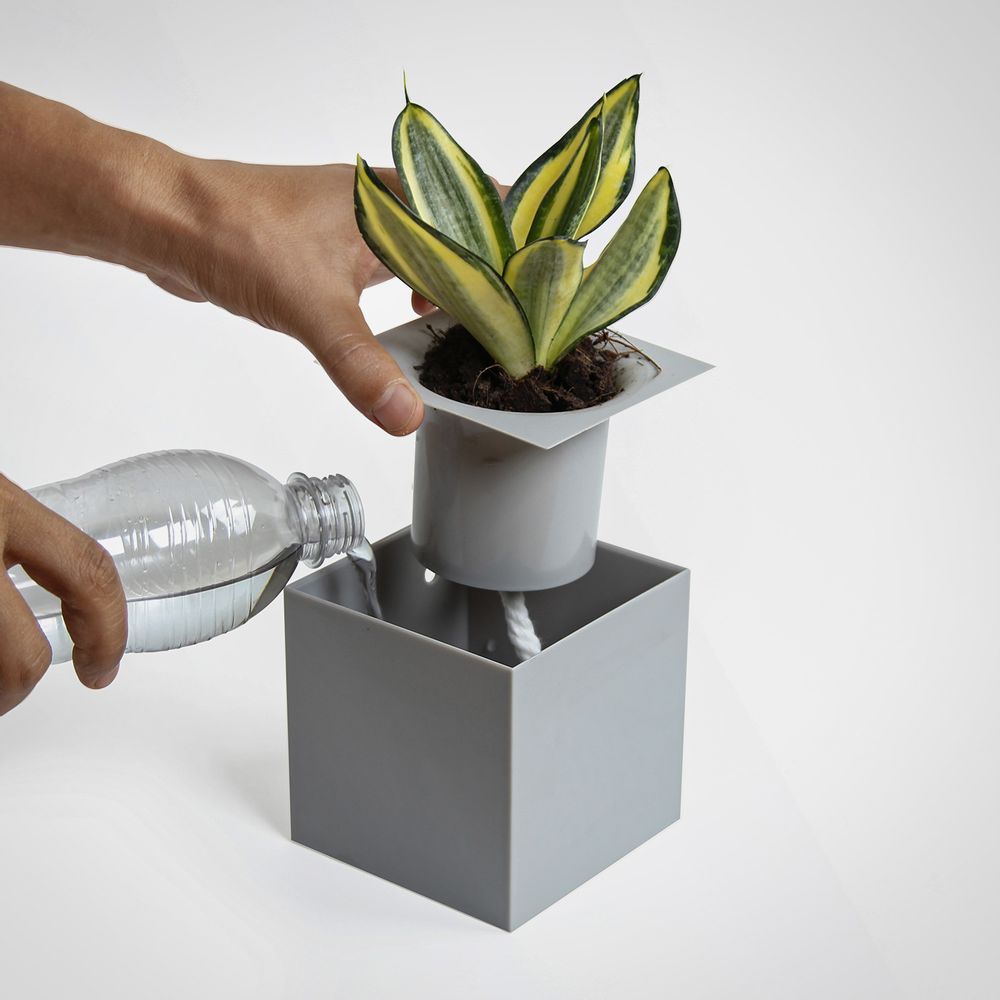 Mobilier et rangements pour bureau - Micro serre : pot de plantes auto-arrosage pour jardin intérieur et extérieur - QUALY DESIGN OFFICIAL