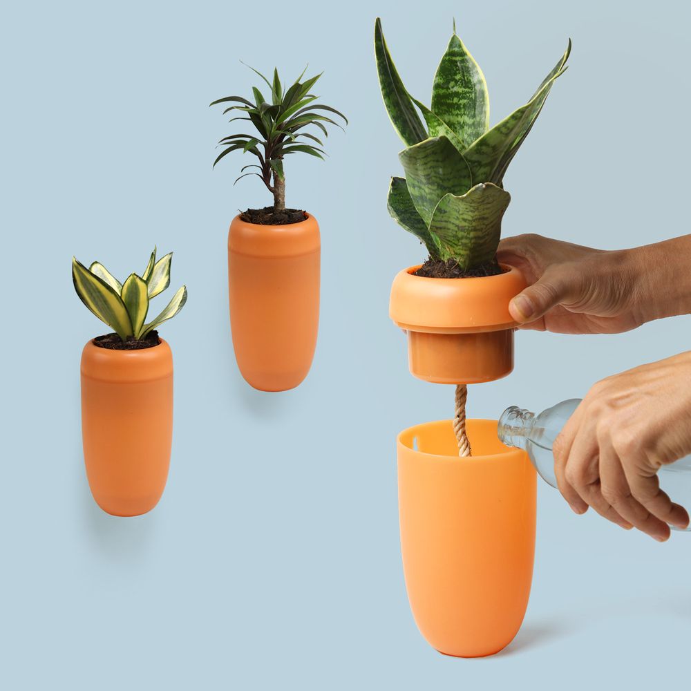 Pots de fleurs - Carepot : Pot de plantes auto-arrosage pour jardin intérieur et extérieur - QUALY DESIGN OFFICIAL