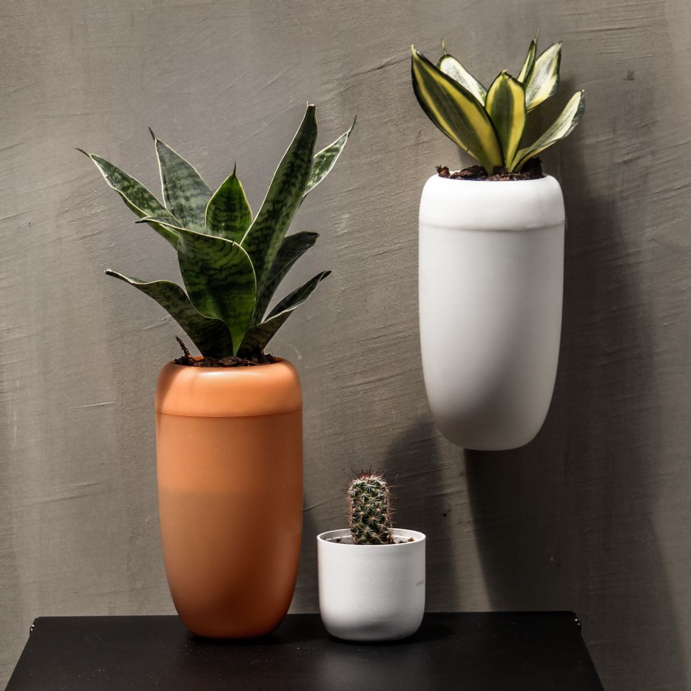 Pots de fleurs - Carepot : Pot de plantes auto-arrosage pour jardin intérieur et extérieur - QUALY DESIGN OFFICIAL