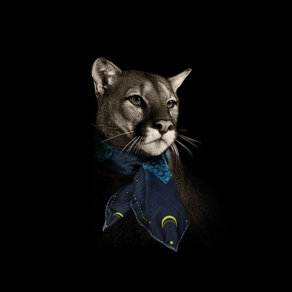 Scarves - BOX “OUR BEAUTIFUL FAMILY” NIGHT THEATRE N°5 1 SILK TWILL SQUARE 90 + 1 SILK TWILL SQUARE 45 + 1 SILK TWILL MEN'S POCKET SQUARE - MAISON FÉTICHE