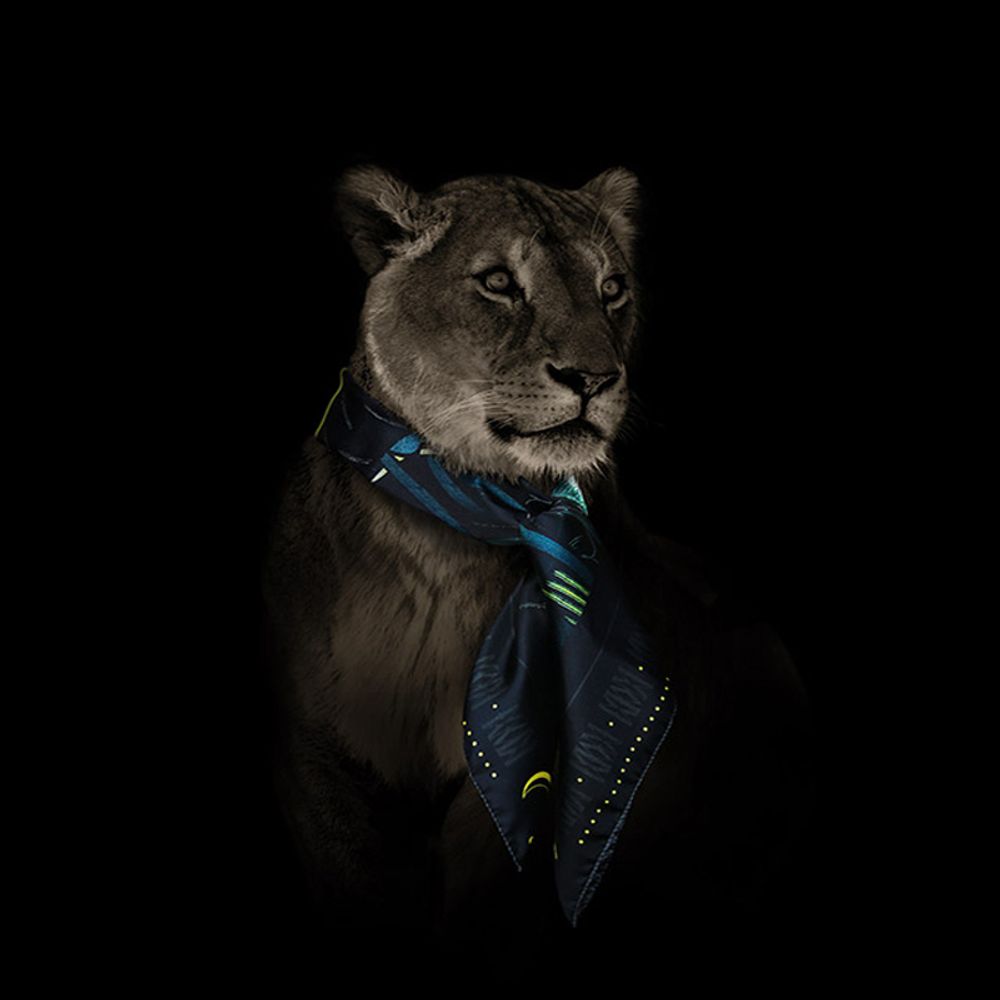 Scarves - BOX “OUR BEAUTIFUL FAMILY” NIGHT THEATRE N°5 1 SILK TWILL SQUARE 90 + 1 SILK TWILL SQUARE 45 + 1 SILK TWILL MEN'S POCKET SQUARE - MAISON FÉTICHE