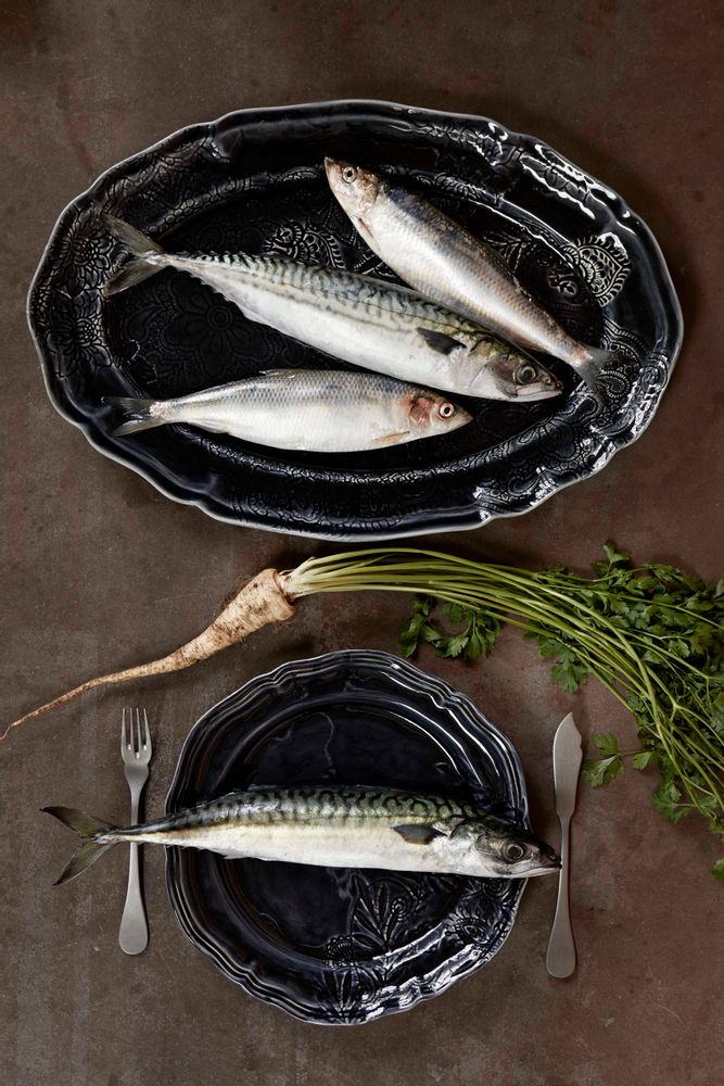 Everyday plates - Dinnerplate /Assiette - STHÅL