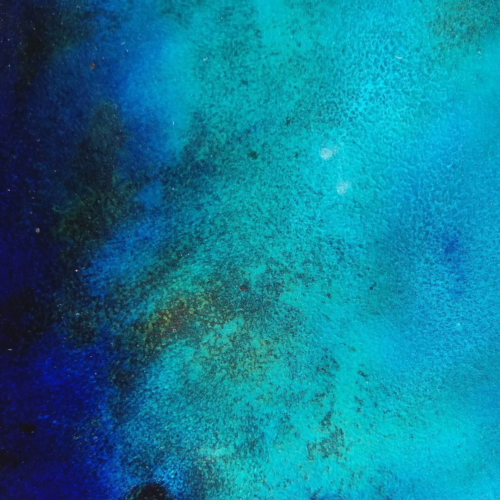 Other wall decoration - Wall composition - BORA - ANNE DE LA FORGE - ÉMAILLEUR D'ART