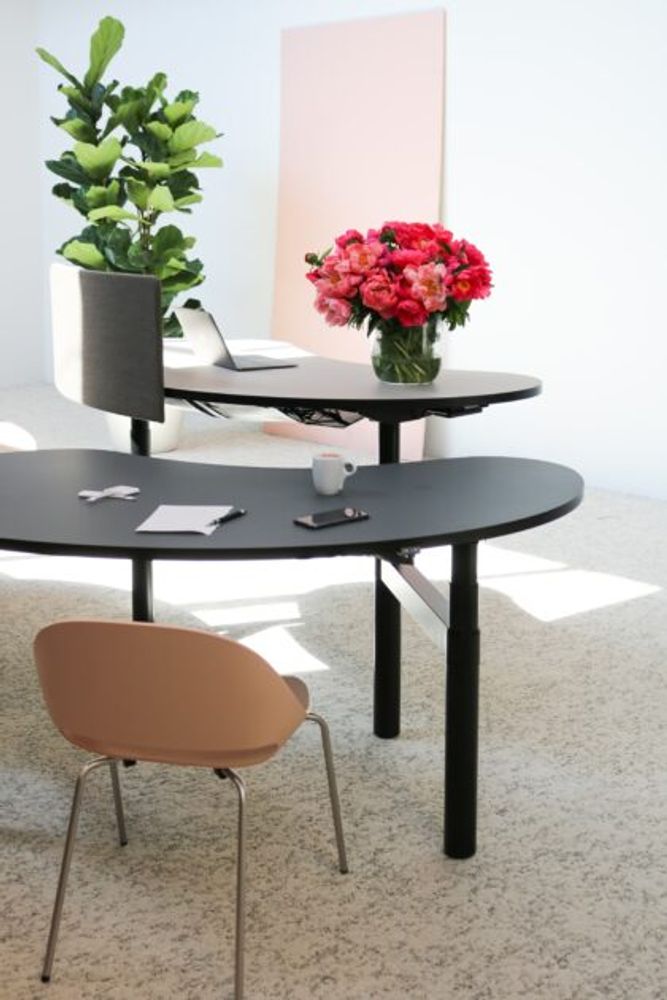 Dining Tables - Senses Workstation  - BULO