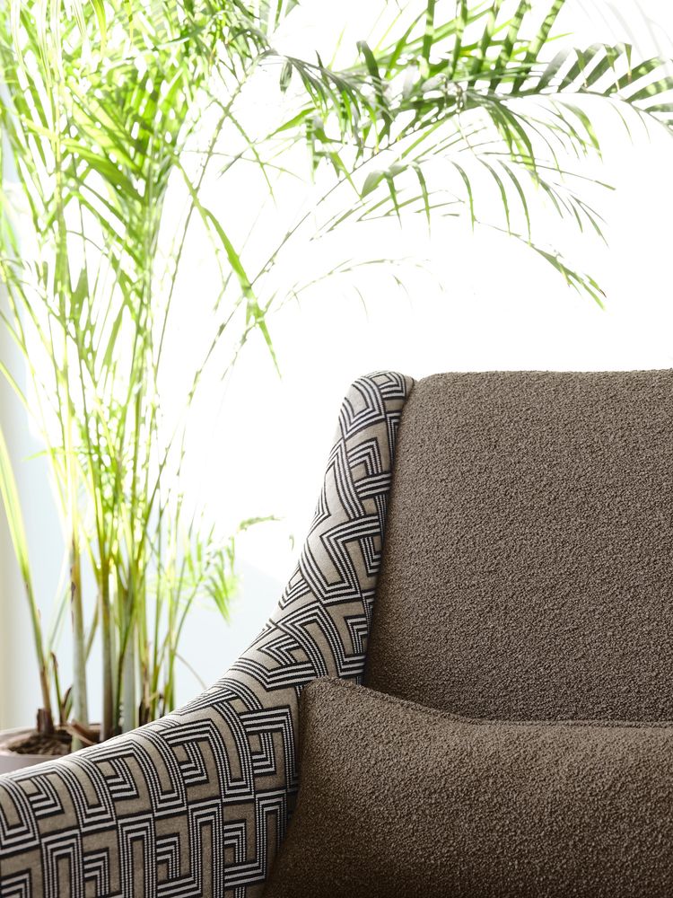 Upholstery fabrics - FRISET BOUCLÉ - ALDECO