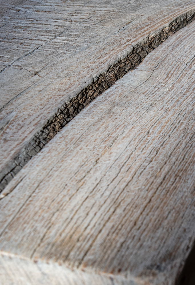 Other tables - Raw elm console from Shanxi - ATMOSPHÈRE D'AILLEURS