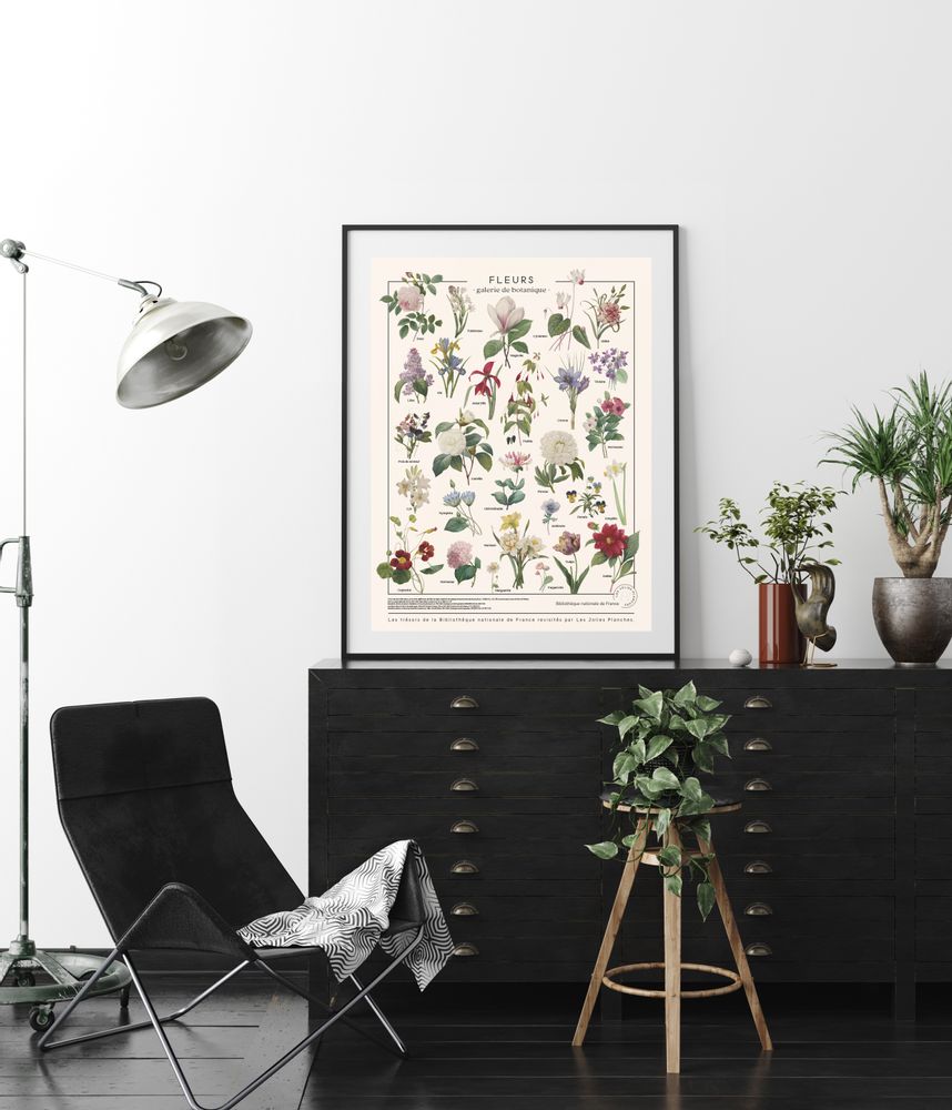 Poster - POSTER/FLOWERS - LES JOLIES PLANCHES