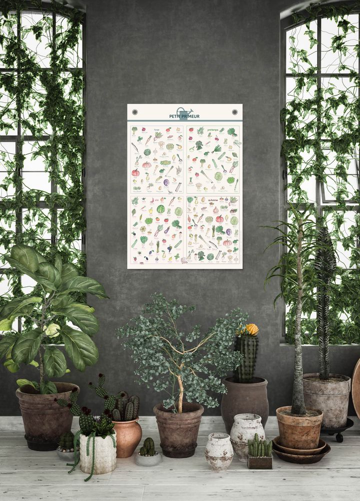 Affiches - AFFICHE / PETIT PRIMEUR - FRUITS ET LEGUMES DE SAISON - LES JOLIES PLANCHES