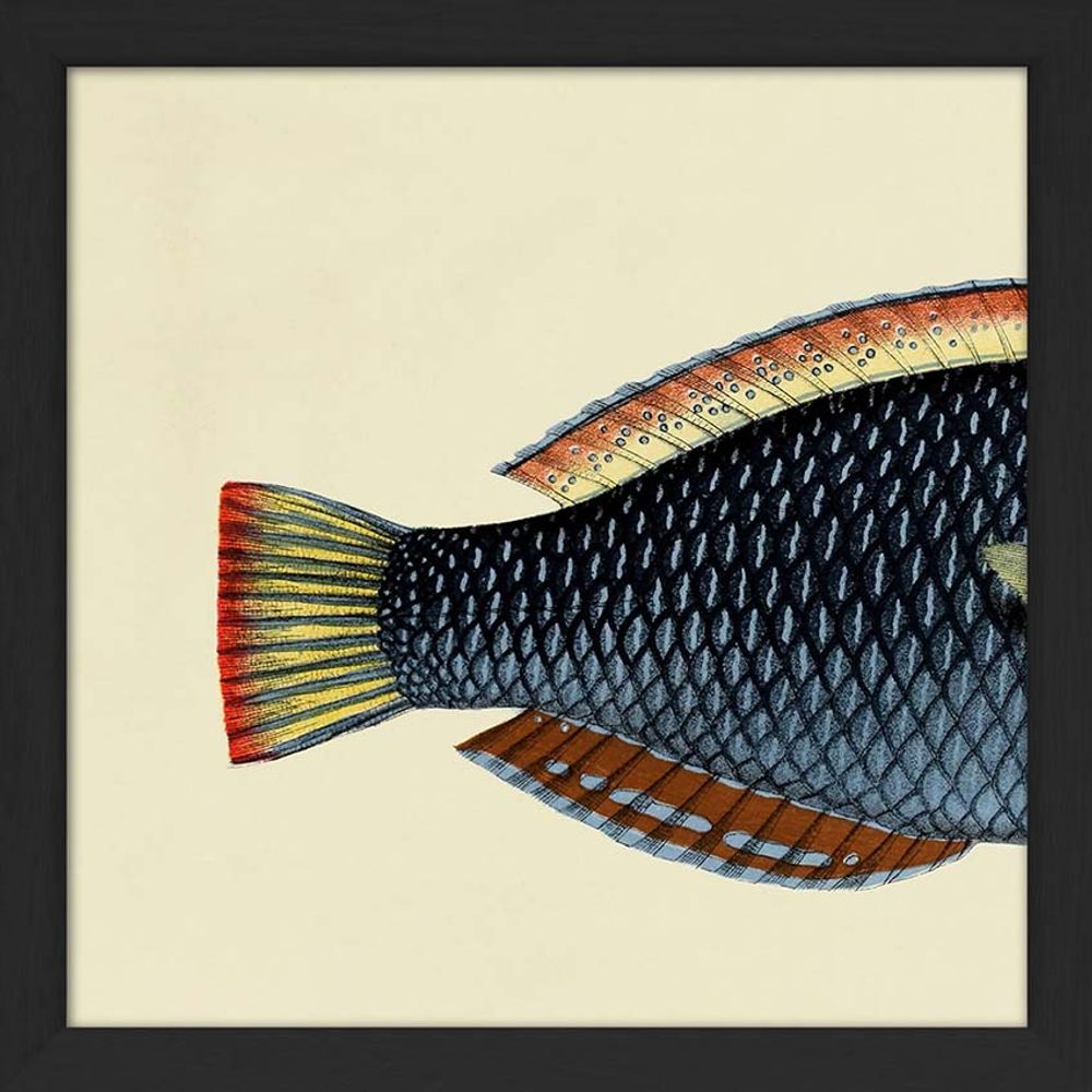 Poster - Poster Half Fish. - THE DYBDAHL CO.
