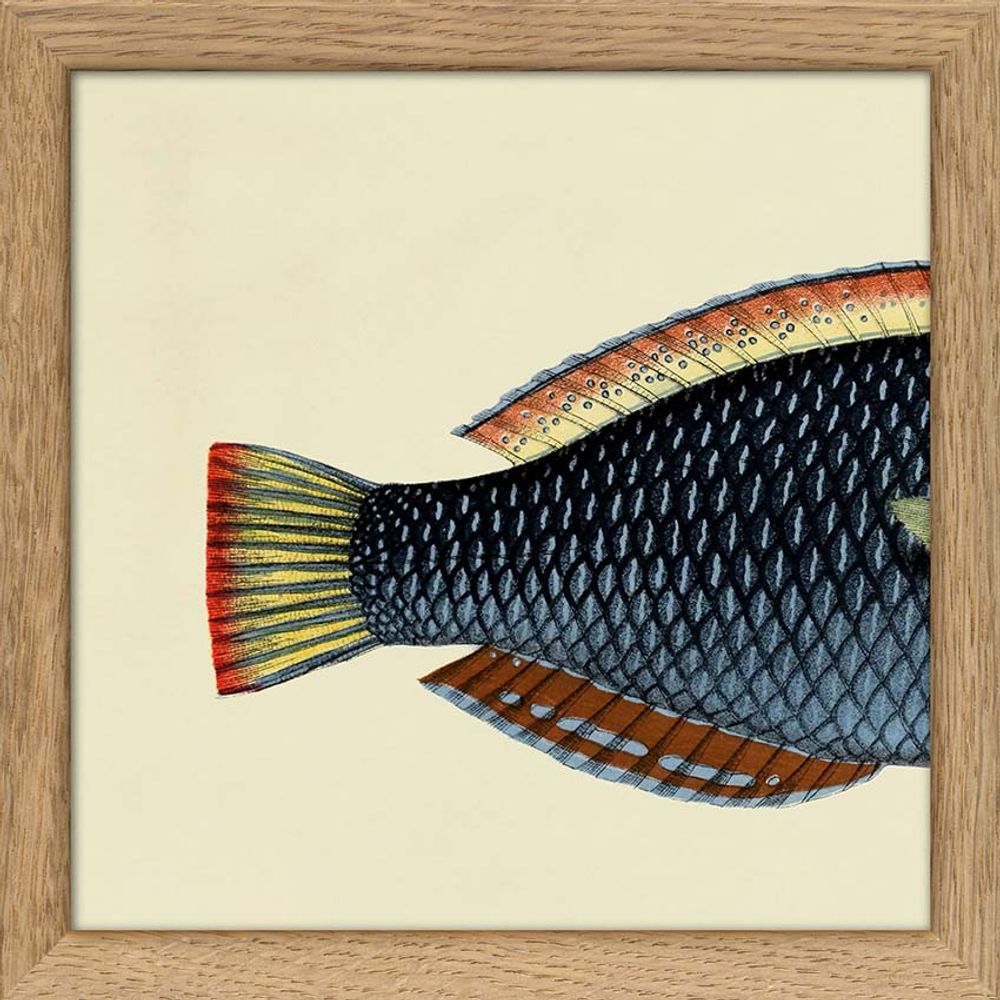Poster - Poster Half Fish. - THE DYBDAHL CO.