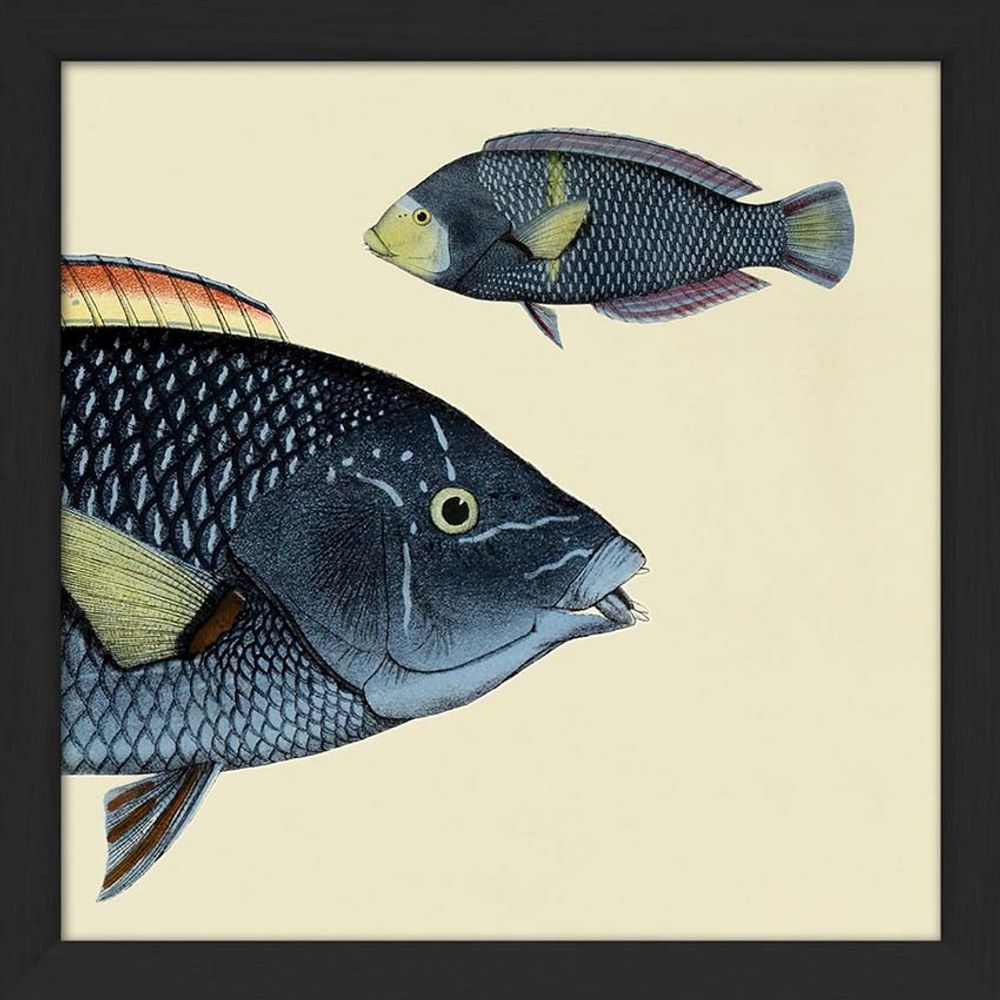 Poster - Poster Half fish. - THE DYBDAHL CO.