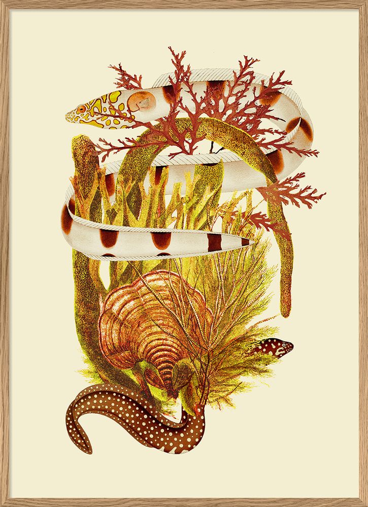 Affiches - Affiche Fish&Weed, Yellow Tones. - THE DYBDAHL CO.